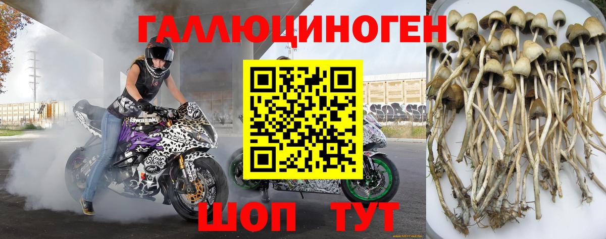 Галлюциногенные грибы мицелий Кизилюрт