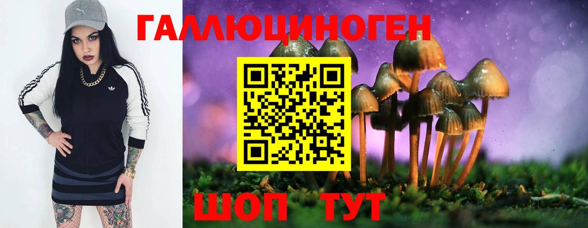 Кизилюрт  Псилоцибиновые грибы GOLDEN TEACHER  Вход с VPN 